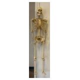 Plastic Anatomical Skeleton Model, 48in Tall