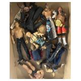 Wrestling Action Figures