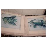 Framed Coastal Aquatic Art Prints
