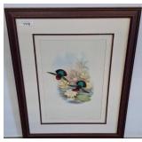 Framed Lithograph of Jacanas, Audubon Style