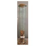 Tall Glass Cylinder with Loose U.S. Pennies