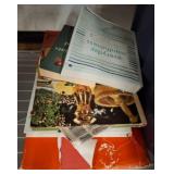 Assorted Books