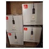 Globe Edison Pendant Light Fixtures, Boxed
