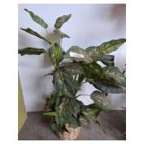 Artificial Potted Plant with Wicker Basket