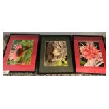 Three Framed 16x20 Nature Prints