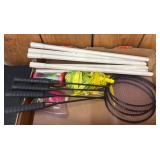 Badminton Set with Rackets, Net, and Accessories