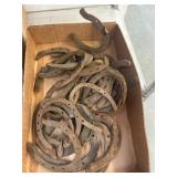 Rusted Horseshoes