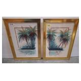Framed Palm Tree Prints, 20x28 Inches
