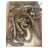 Horseshoes and Harness Pieces