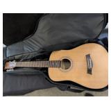 Holai Acoustic Guitar with Case