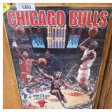 Chicago Bulls 16x20 NBA Themed Poster