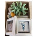 Coastal Decor Lot with Frames, Coral, and Shells