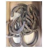 Rusted Metal Horseshoes