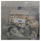 Bulk Lot of Mixed Seashells