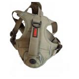 KONG Dog Harness & Top Paw Training Leash