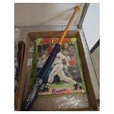 Atlanta Braves Mini Bat and Player Cards Set 9"ï¿½11