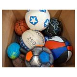 Sports Balls Group Lot