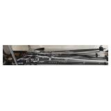 Ski Poles, Alpina, Scott