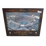 Washington Redskins Super Bowl XXII Champions