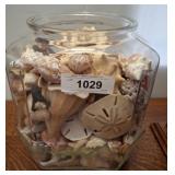 Lance Glass Jar With Assorted Seashells, 11in