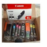 Canon PIXMA 251 XL Ink Cartridge Set