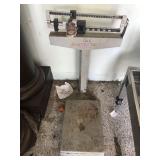 DETECTO SCALE 350 LBS