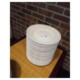 LOT OF 28 PASTA PLATES