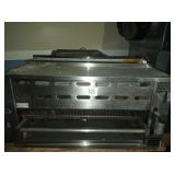 MONTAGUE GAS SALAMANDER