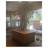 TABLE WITH TREE IN THE MIDDLE 72" X 95" X 42"