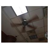 CEILING FANS
