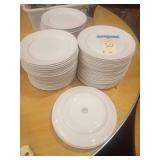 DUDSON 10" PLATES