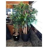 LARGE PLANTERS