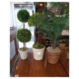 MEDIUM SIZE PLANTERS