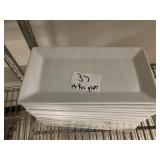 LOT OF 19 RECT PLATES 10" X 5"