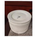 LOT 17 PLATES 12"