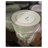 LOT OF 120 PLATES 10"