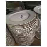 LOT OF 120 PLATES 10"