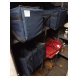 INSULATED DELIVERY BAGS