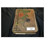 POST CARD ALBUM FROM WESTERN NY AREA (167 CARDS) POST CARD ALBUM FROM WESTERN NY AREA (167 CARDS)