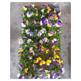 FLAT OF VIOLAS