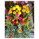 FLAT OF MIXED FLOWERS