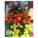 FLAT OF MIXED FLOWERS