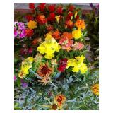 FLAT OF MIXED FLOWERS