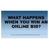 AFTER THE AUCTION ENDS...?   *Read, don