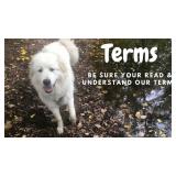 TERMS:  *Read, but don