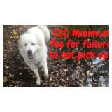 FEE FOR FAILURE TO PICK UP ON DESIGNATED DAY