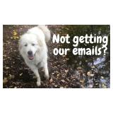 NOT GETTING OUR EMAILS? Read, don