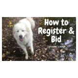 HOW TO REGISTER & BID: *Read, don