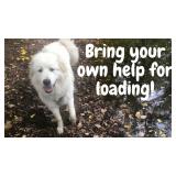 $10 FEE FOR AUCTION CREW TO LOAD