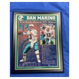 NFL DAN MARINO WALL PLAQUE